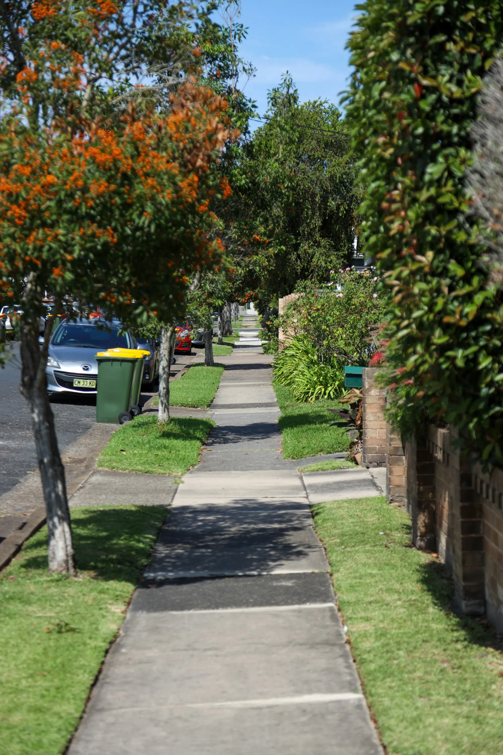 Residential concrete sidewalk lined with lawns and trees
